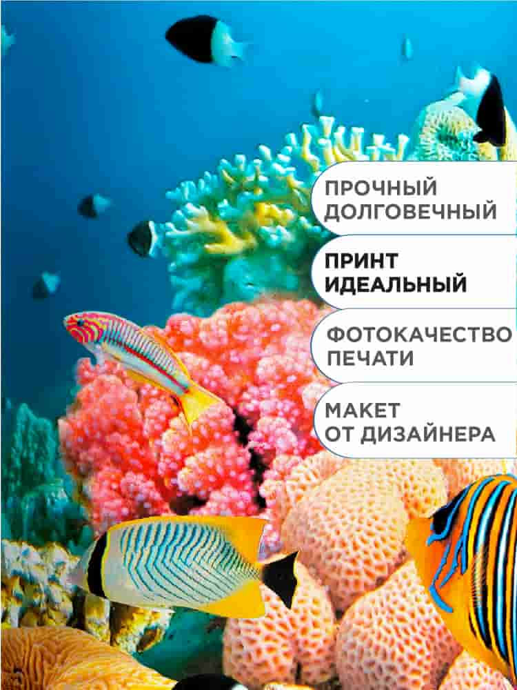 Дизайнерский принт чехол на бутыль 19л Rose Coral Reef, для кулера
