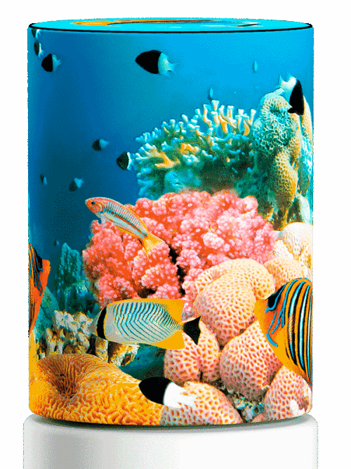 Купить чехол на бутыль 19л Rose Coral Reef, для кулера
