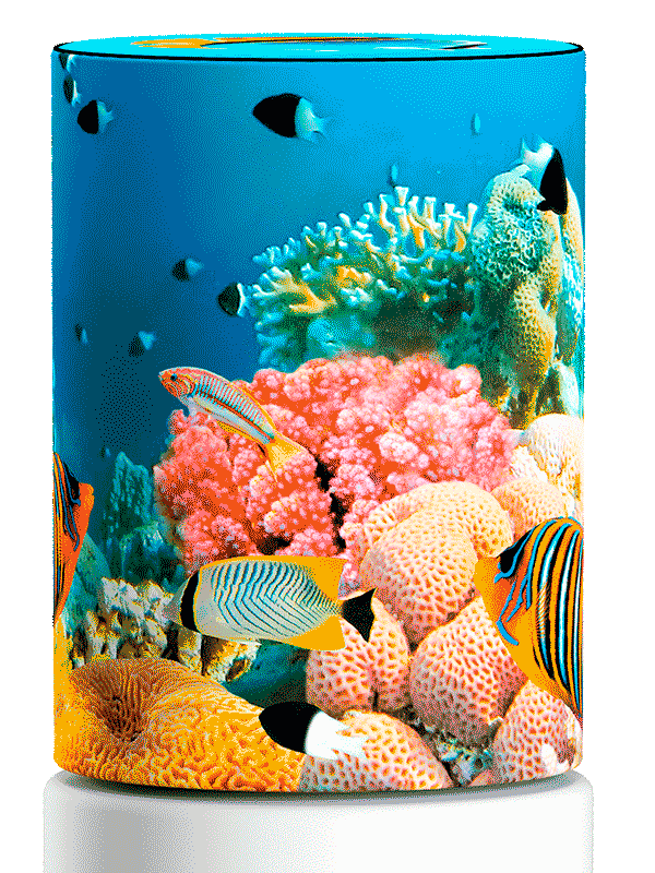 Купить чехол на бутыль 19л Rose Coral Reef, для кулера